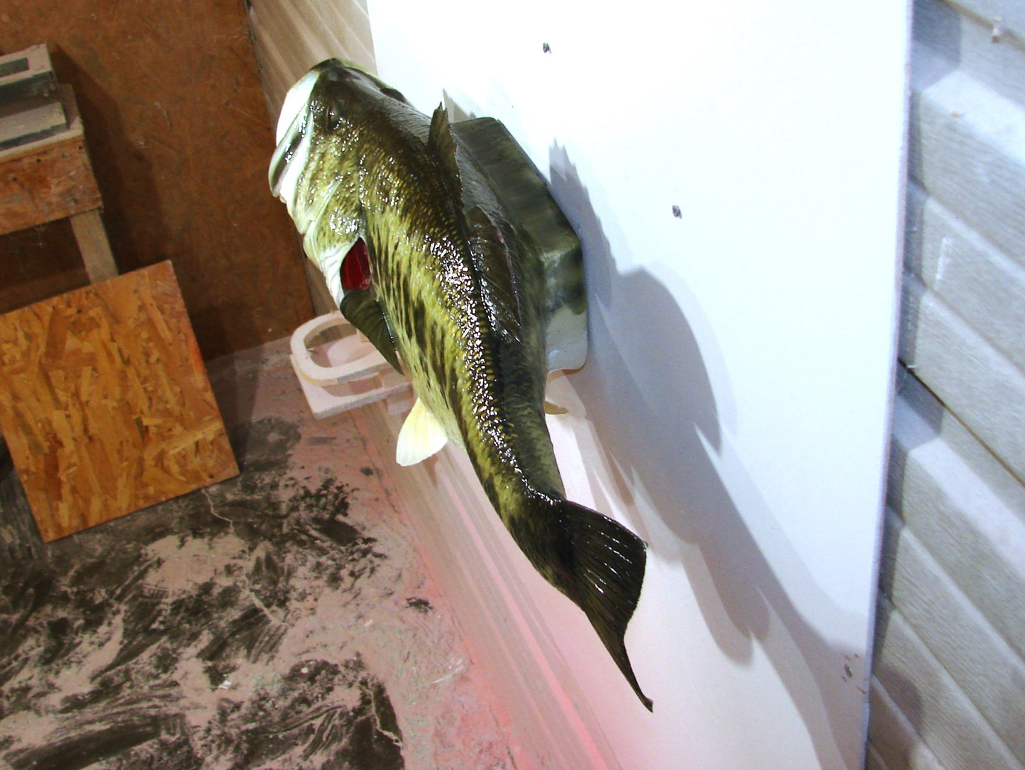 28" Largemouth Bass FREE SHIPPING