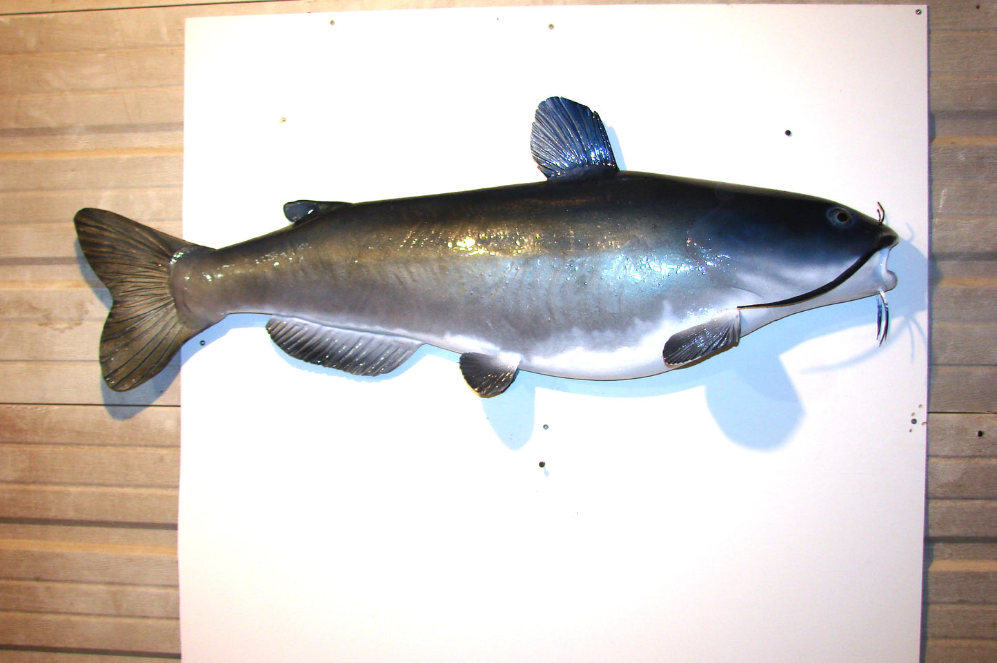46" Blue Catfish Wall mount replica art FREE SHIPPING