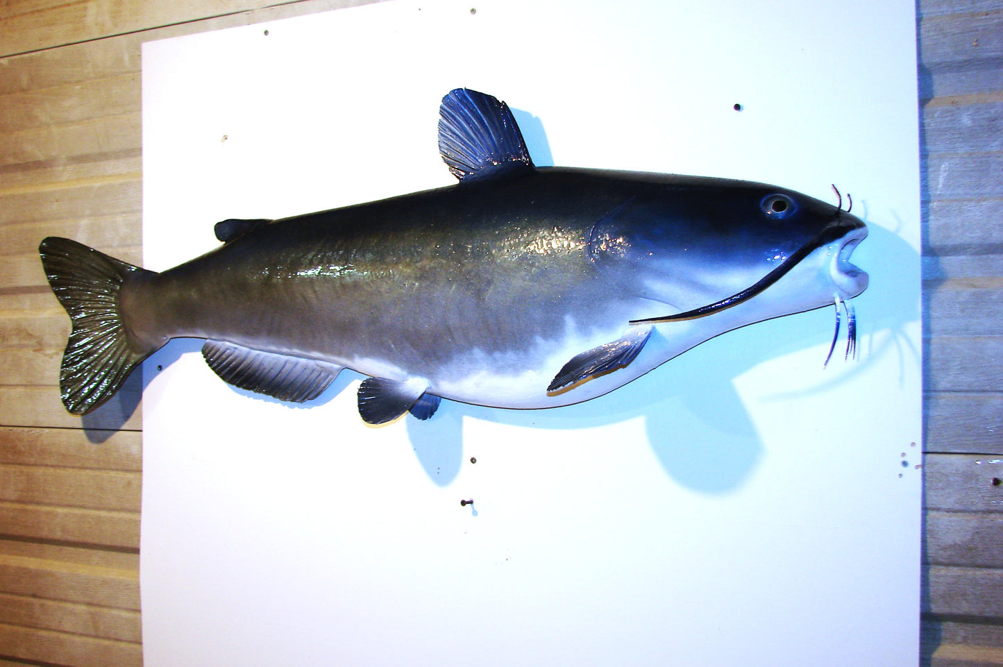 46" Blue Catfish Wall mount replica art FREE SHIPPING