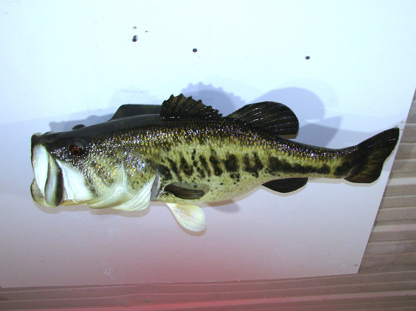 28" Largemouth Bass FREE SHIPPING