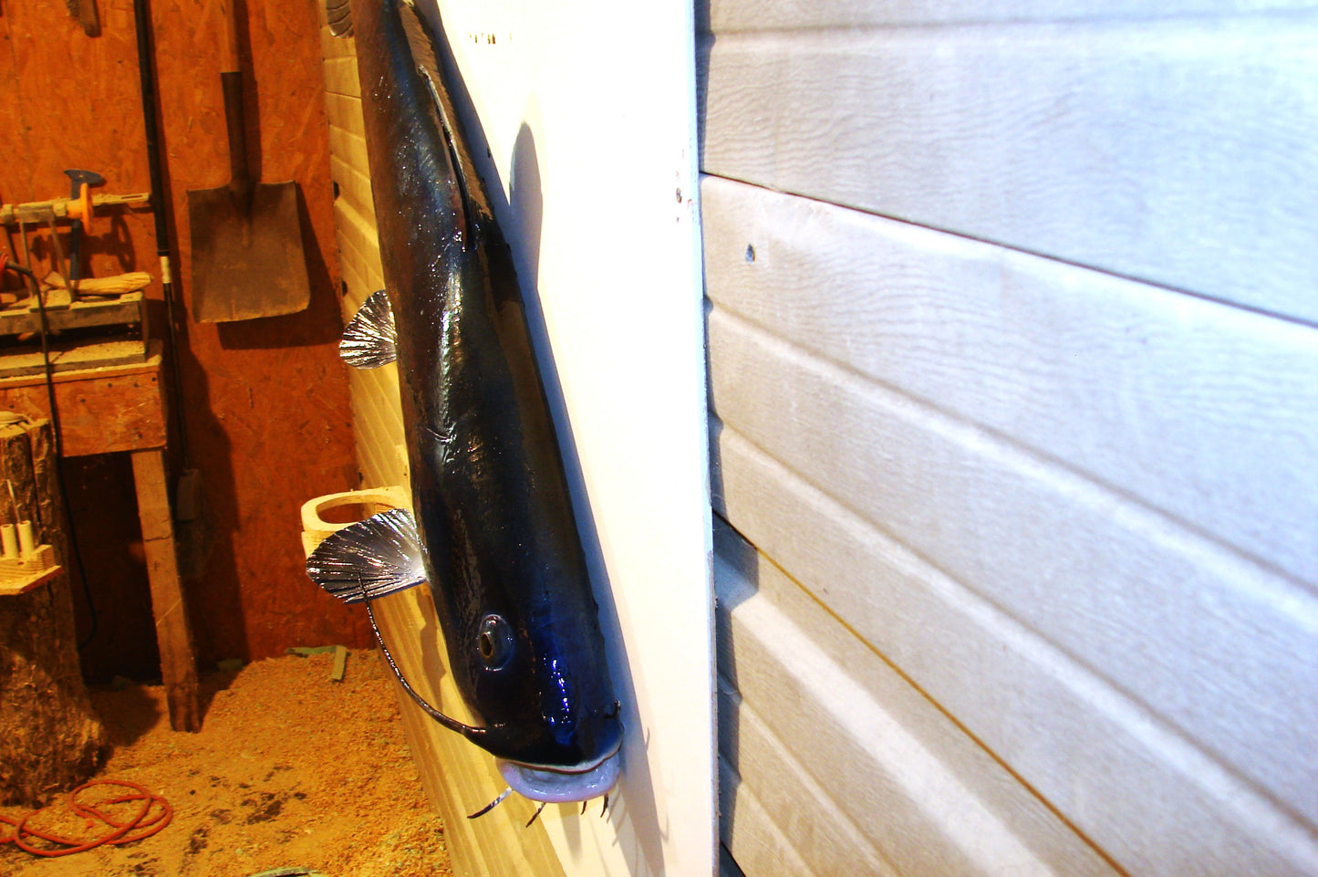 46" Blue Catfish Wall mount replica art FREE SHIPPING