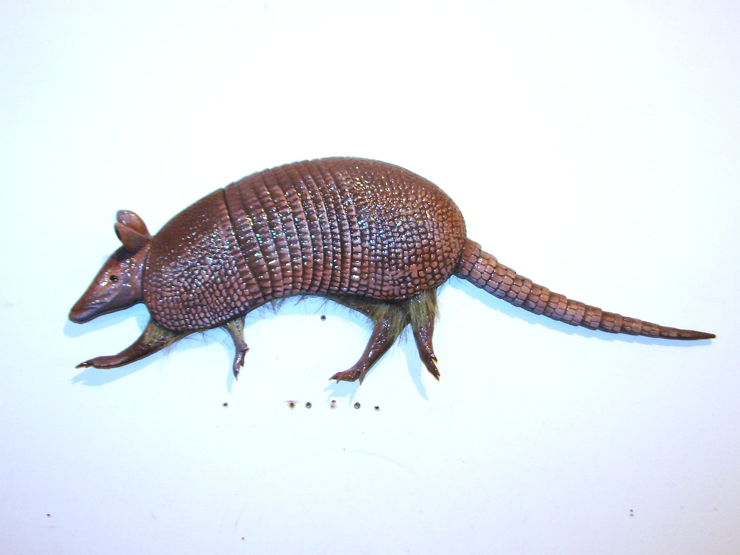 27" Armadillo FREE SHIPPING
