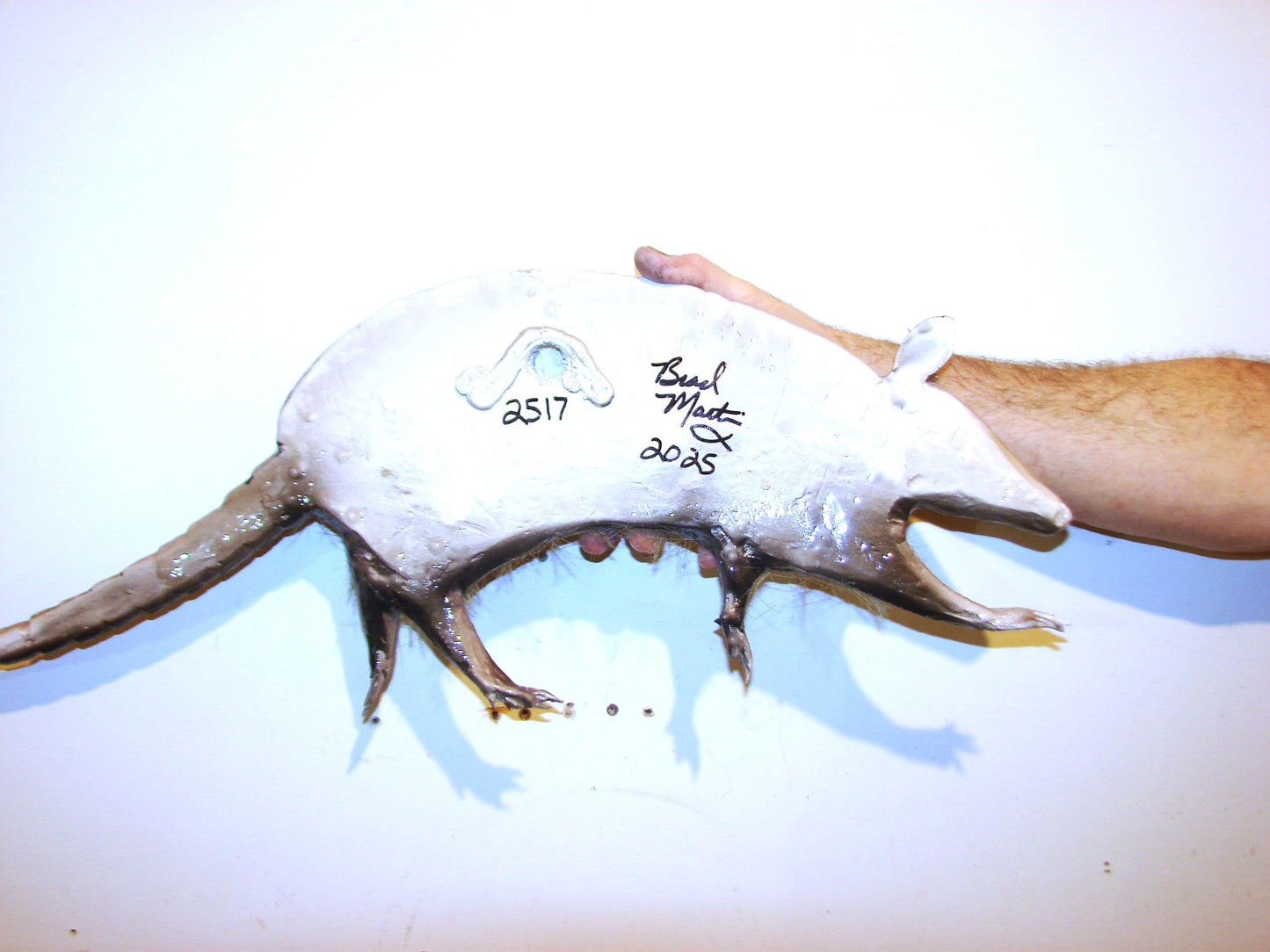 27" Armadillo FREE SHIPPING