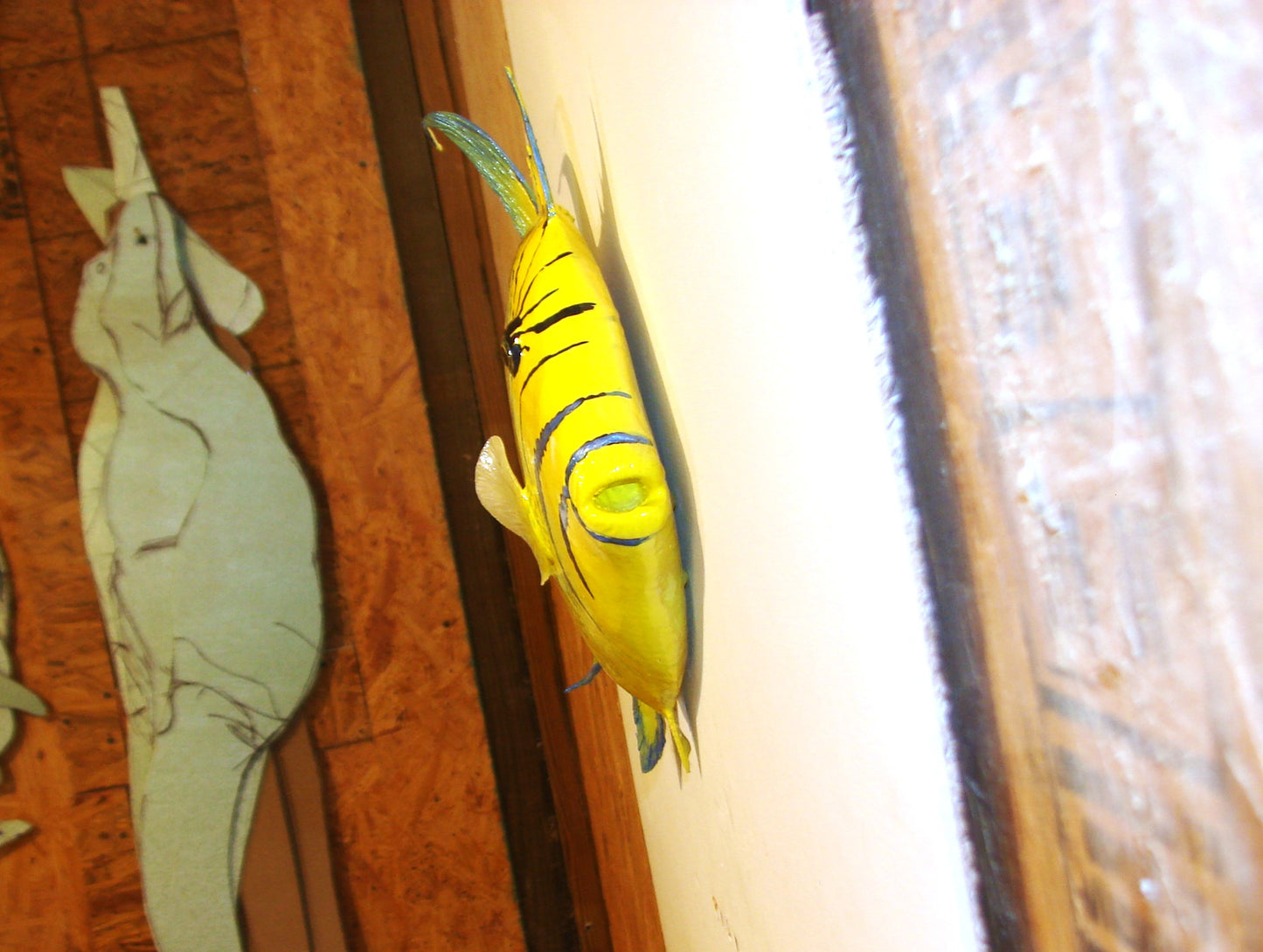 22" Queen Triggerfish FREE SHIPPING