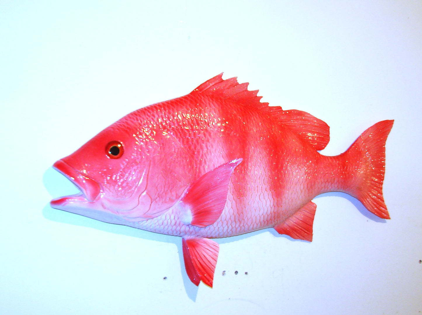 28" Red Snapper FREE SHIPPING