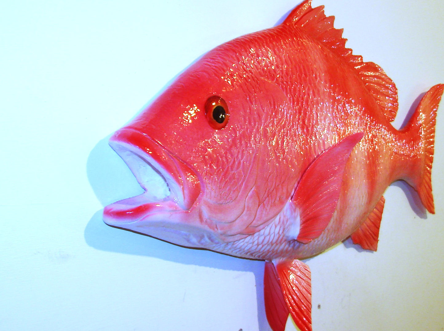 28" Red Snapper FREE SHIPPING