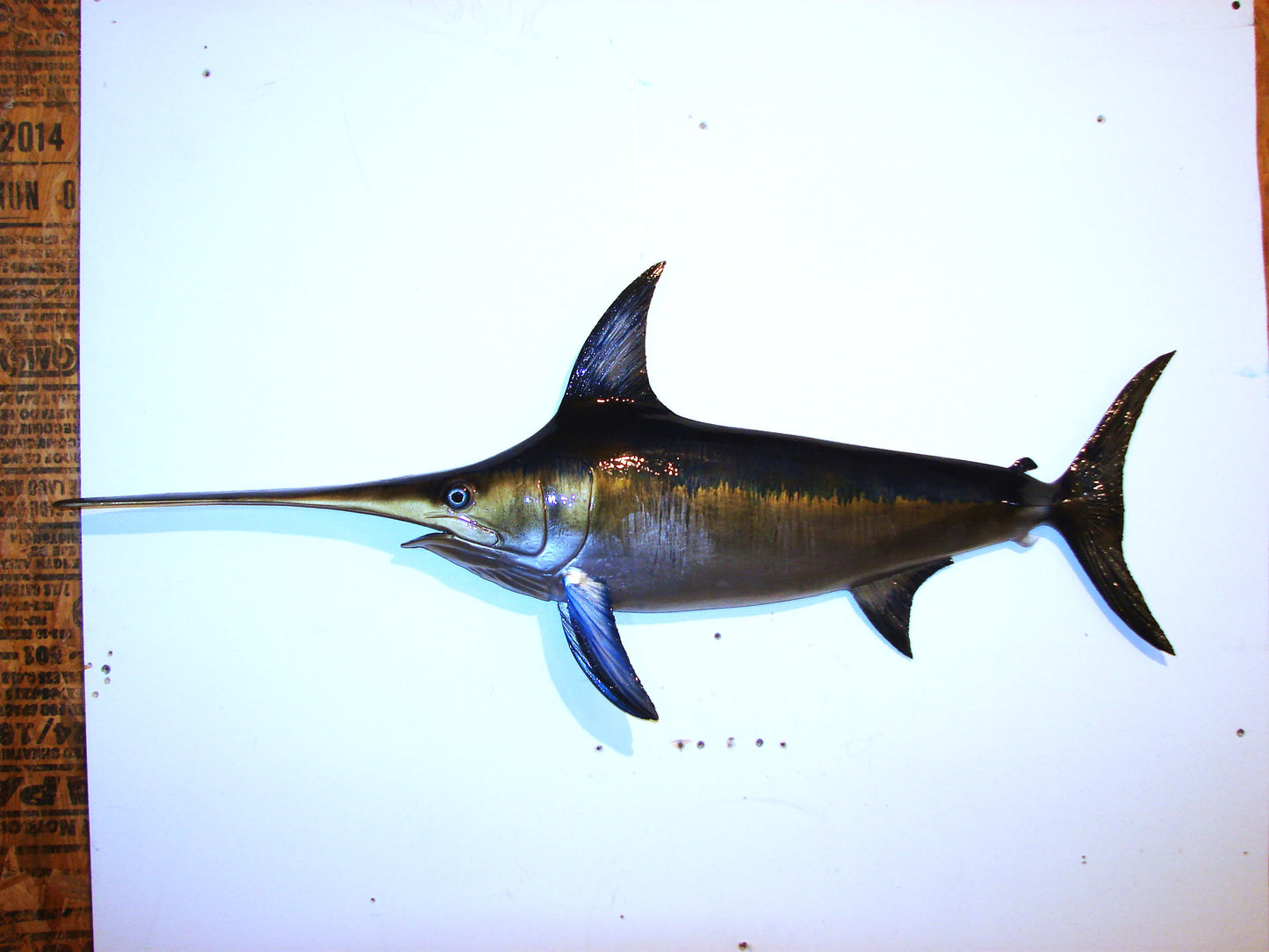 39" Swordfish FREE SHIPPING