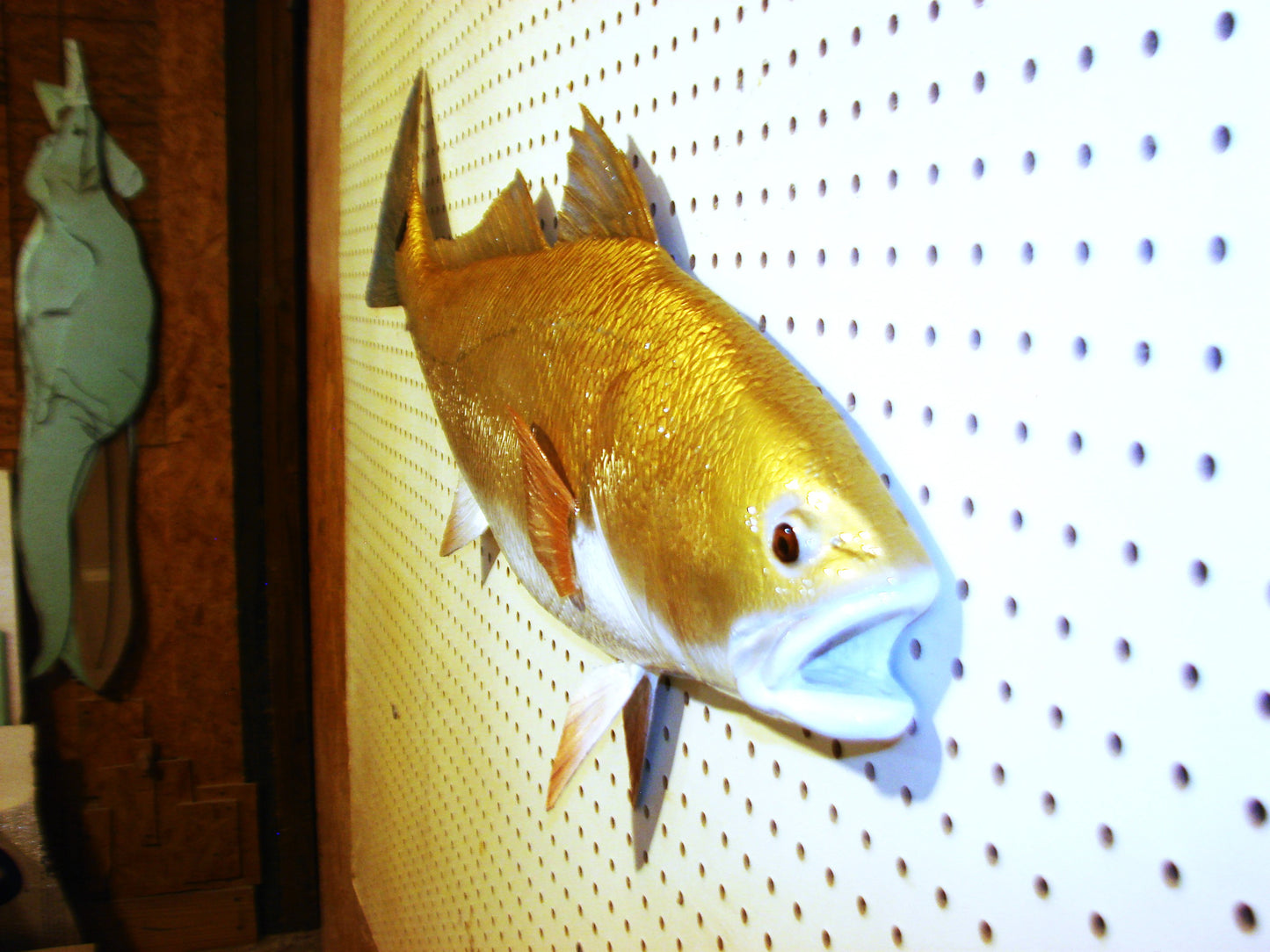 37" Redfish 1/2 mount FREE SHIPPING