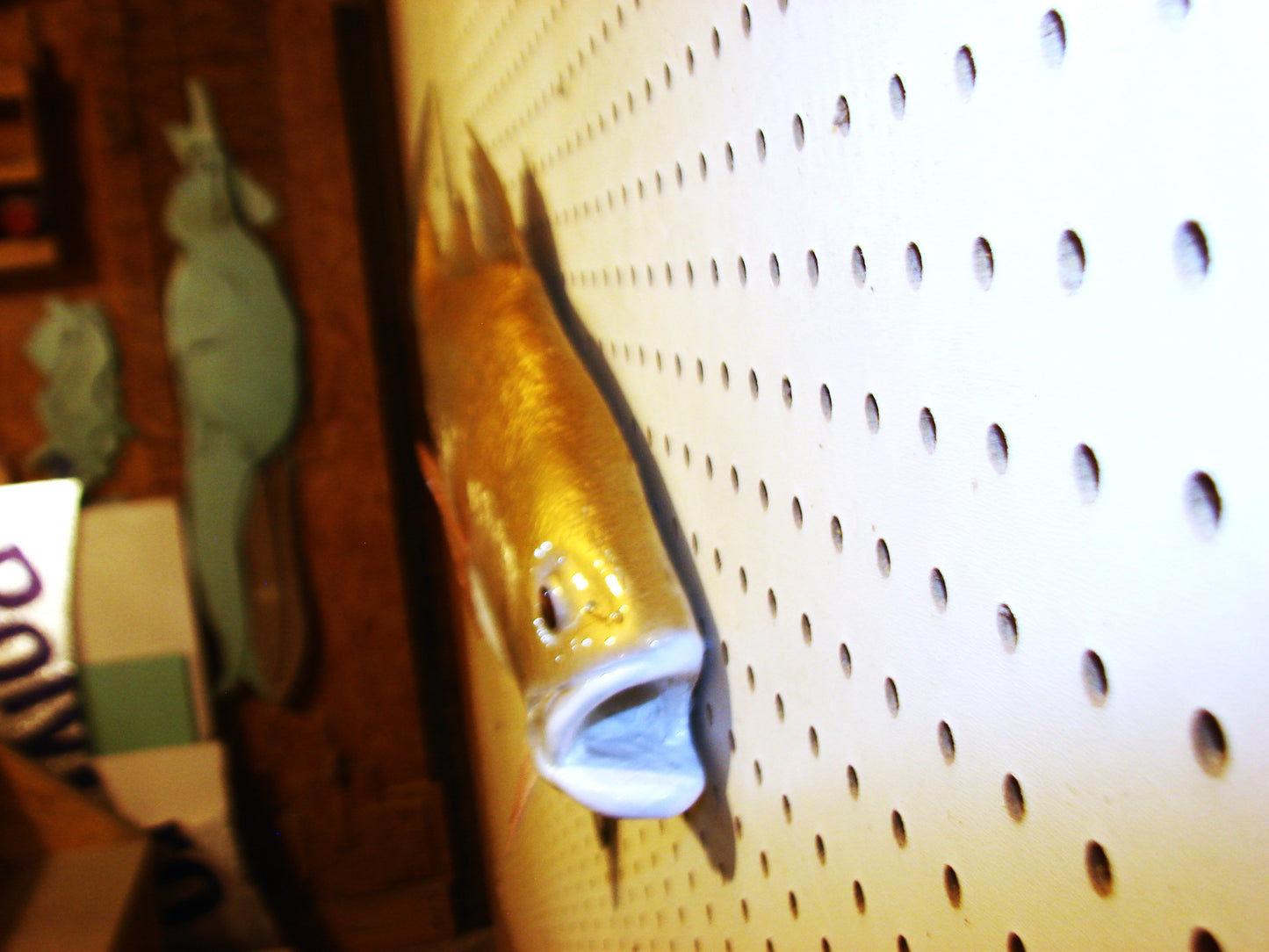 37" Redfish 1/2 mount FREE SHIPPING