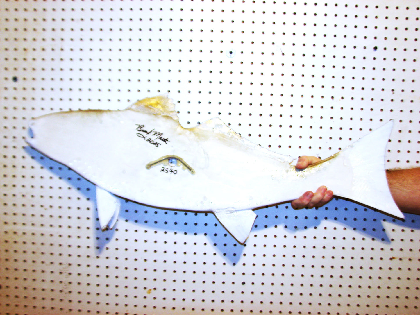 37" Redfish 1/2 mount FREE SHIPPING
