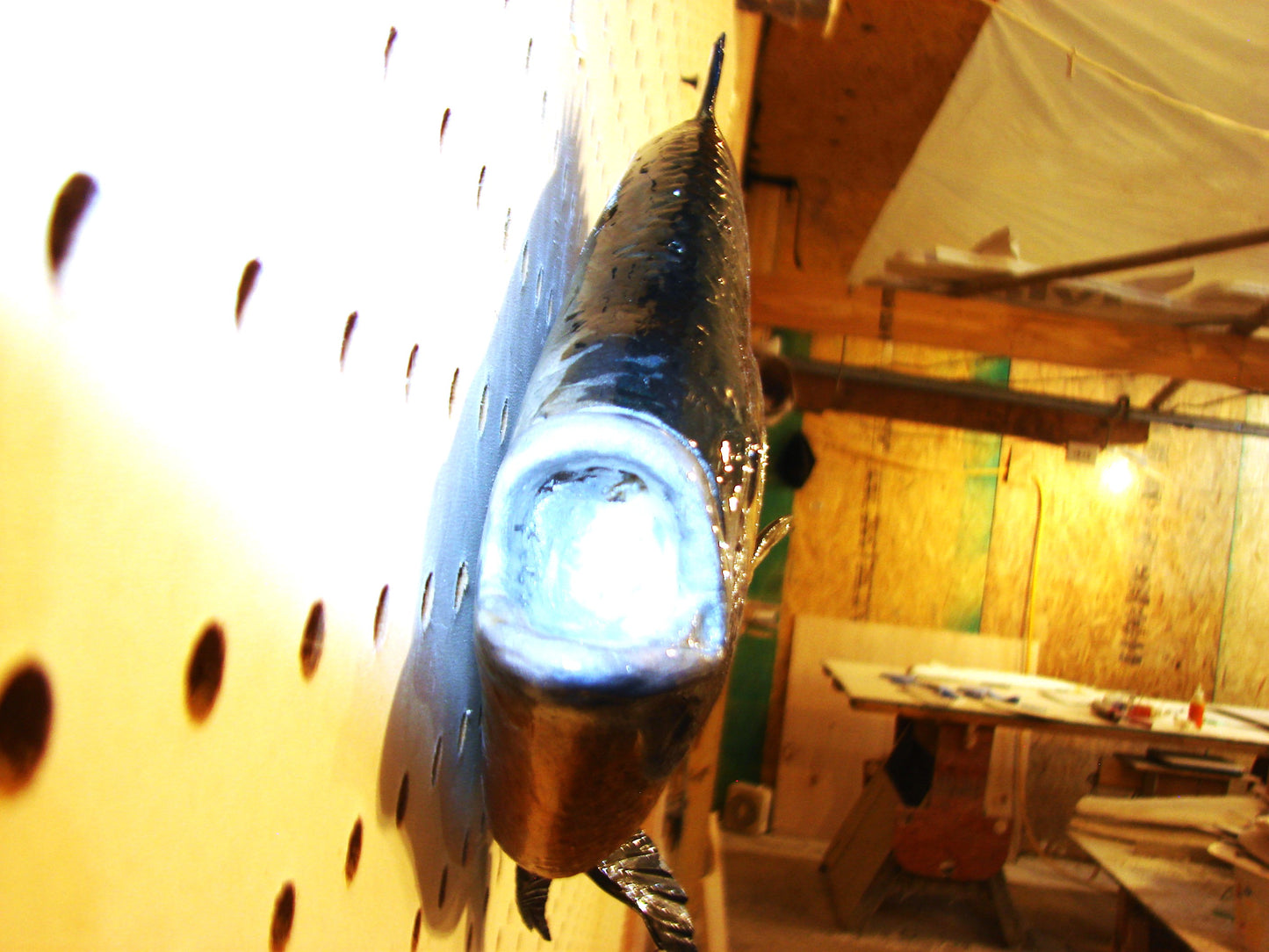 12" Bluegill wall mount FREE SHIPPING