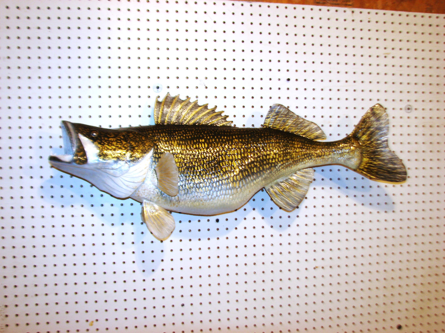 34" Walleye Pike FREE SHIPPING
