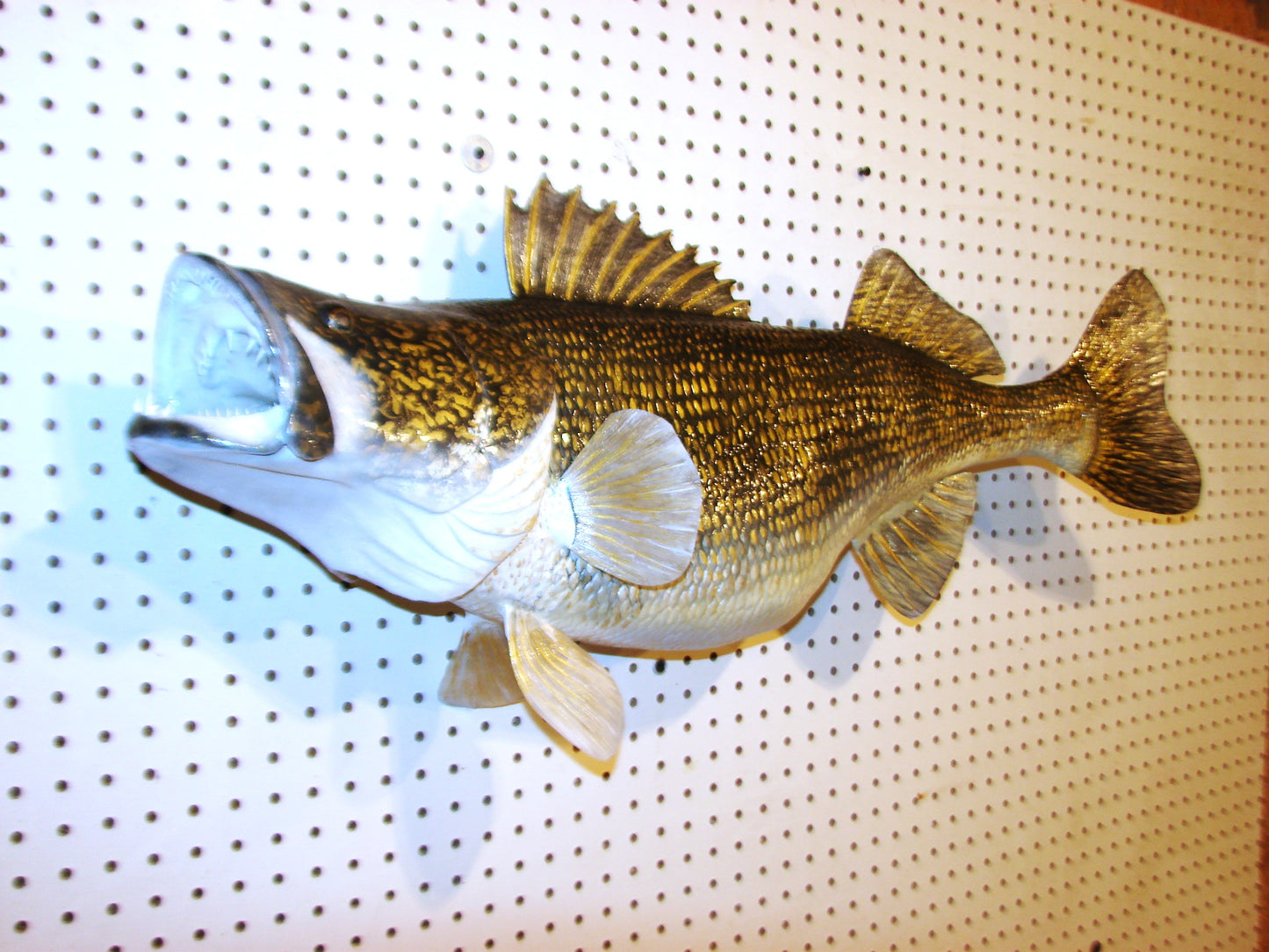 34" Walleye Pike FREE SHIPPING