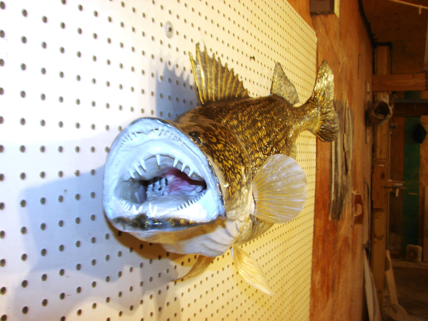 34" Walleye Pike FREE SHIPPING
