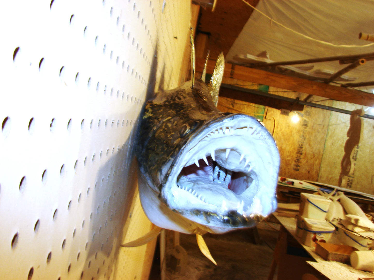 34" Walleye Pike FREE SHIPPING