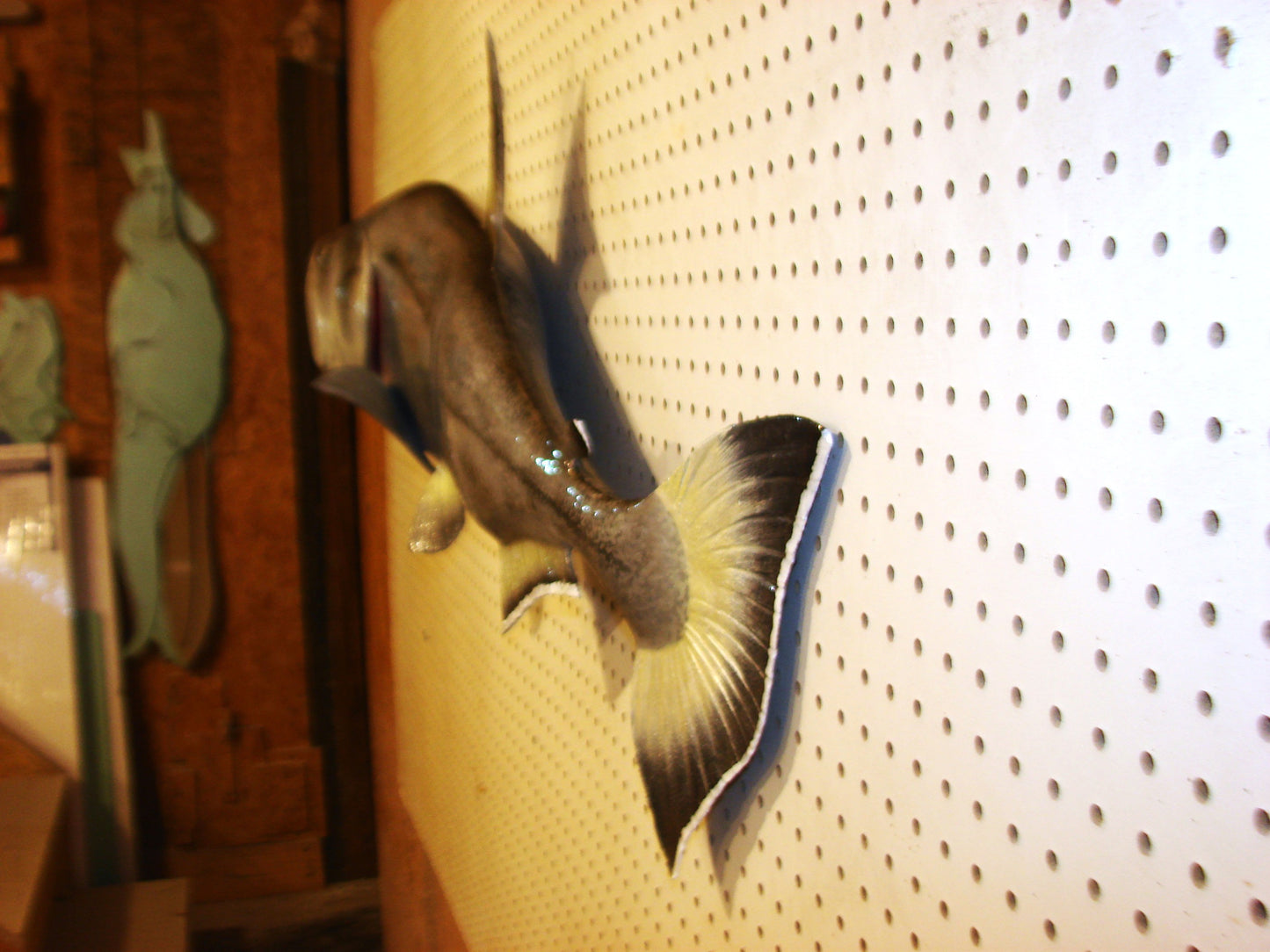 40" Payara FREE SHIPPING