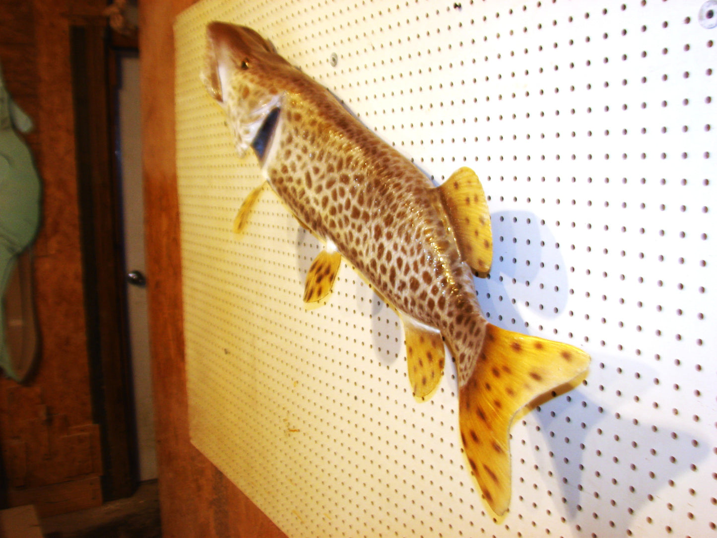 43" Muskellunge FREE SHIPPING