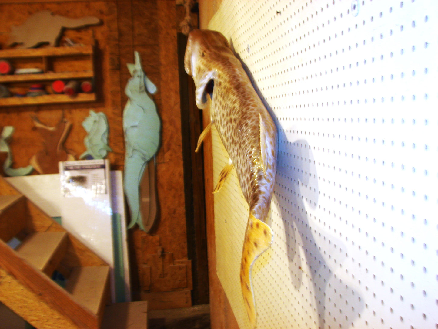 43" Muskellunge FREE SHIPPING