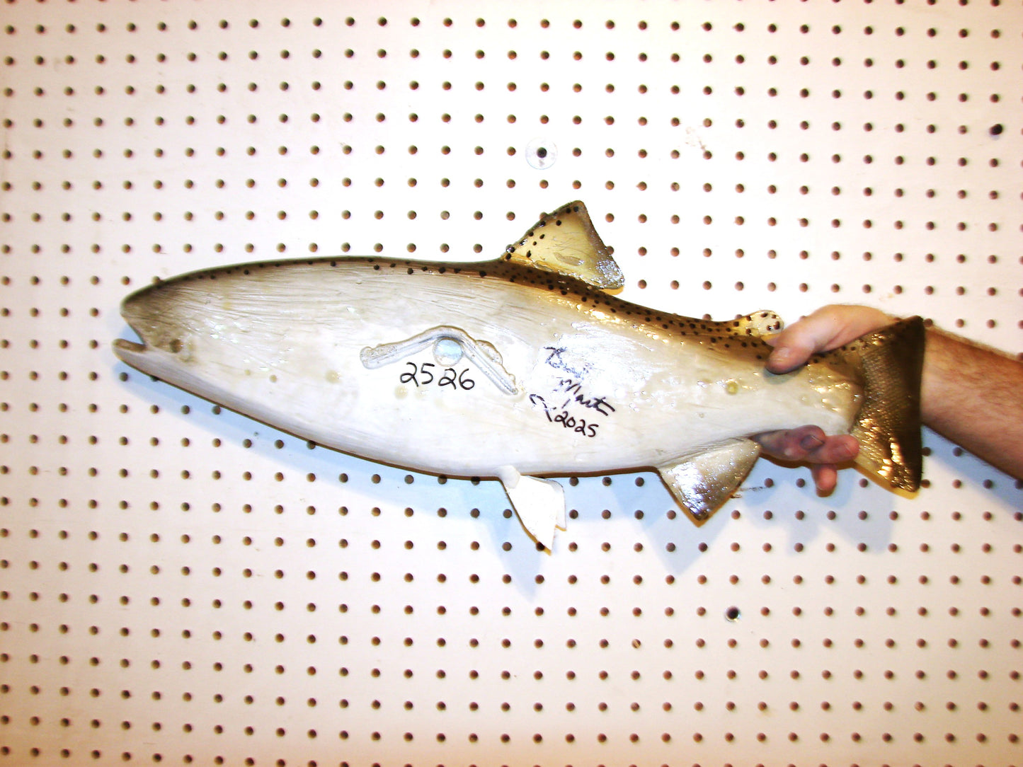 24" Rainbow Trout FREE SHIPPING