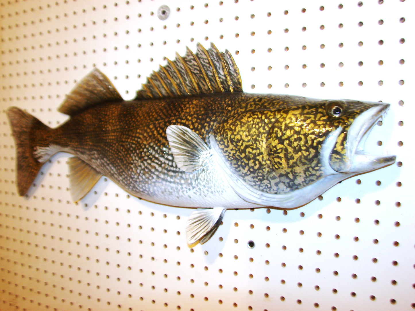29" Walleye 1/2 mount FREE SHIPPING