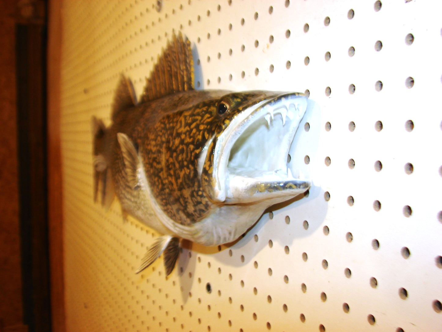29" Walleye 1/2 mount FREE SHIPPING