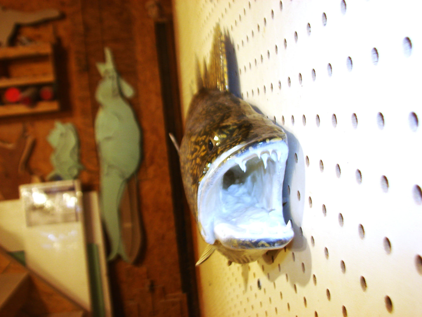 29" Walleye 1/2 mount FREE SHIPPING