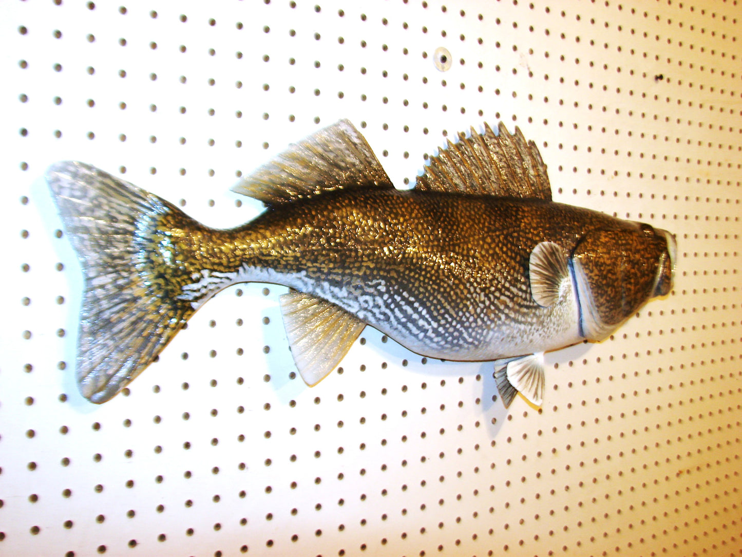 29" Walleye 1/2 mount FREE SHIPPING