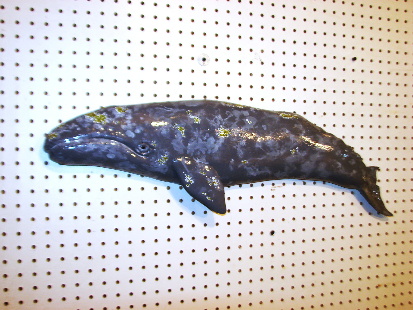 31" Gray Whale FREE SHIPPING