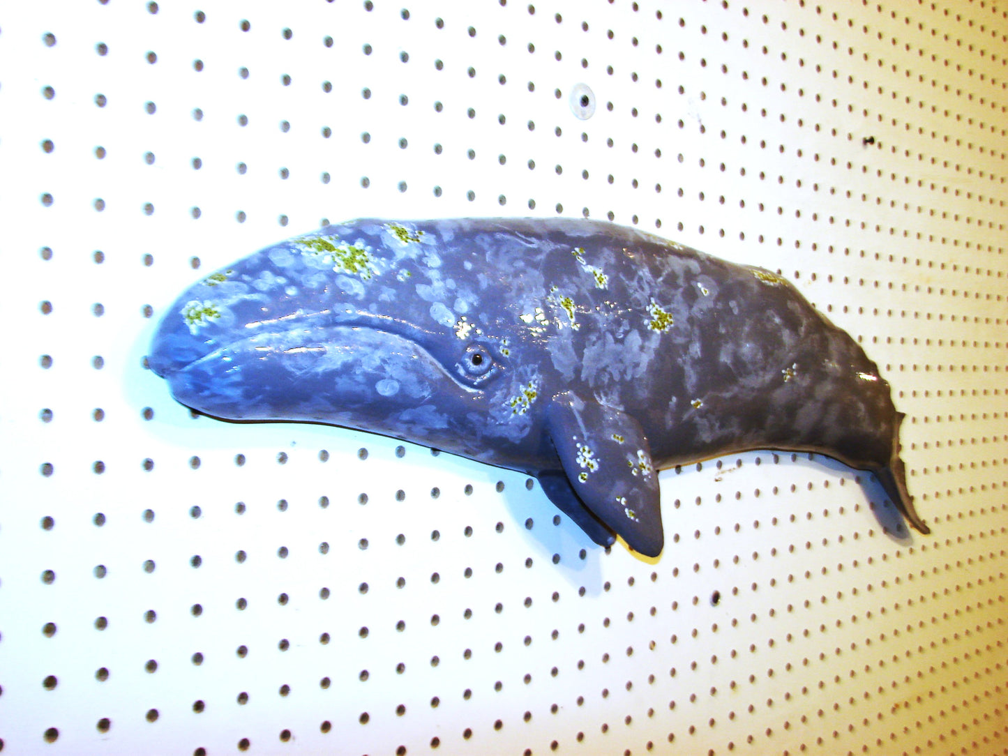 31" Gray Whale FREE SHIPPING