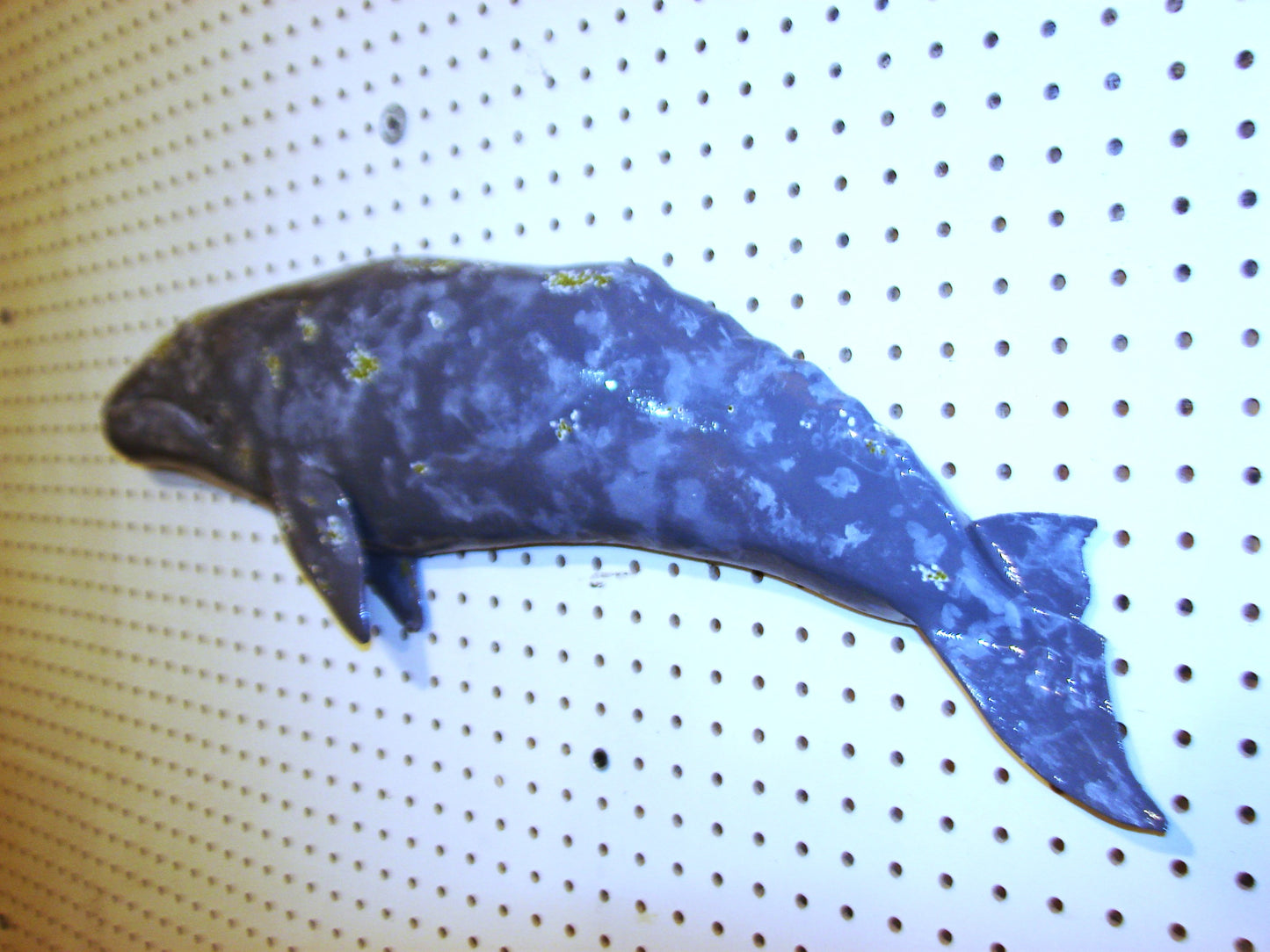 31" Gray Whale FREE SHIPPING