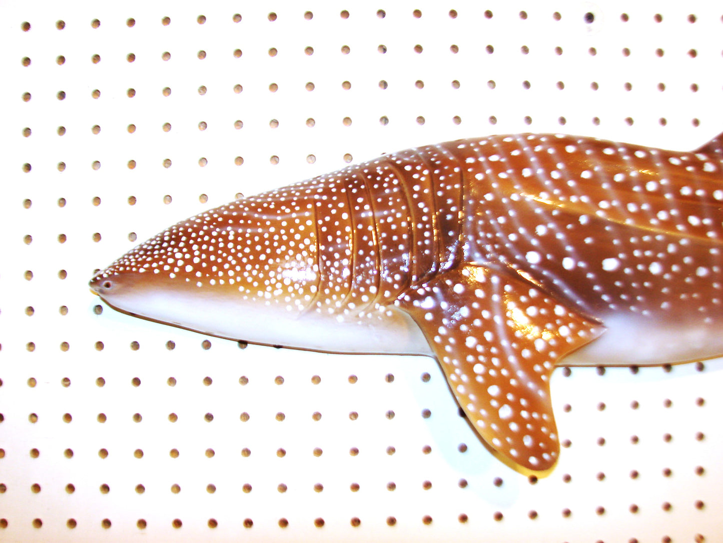 36" Whale Shark FREE SHIPPING