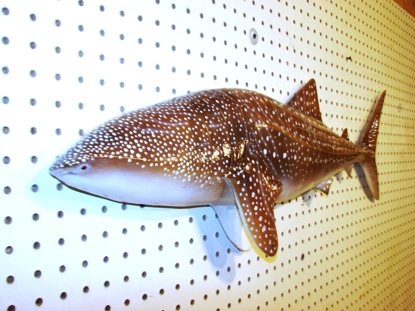 36" Whale Shark FREE SHIPPING