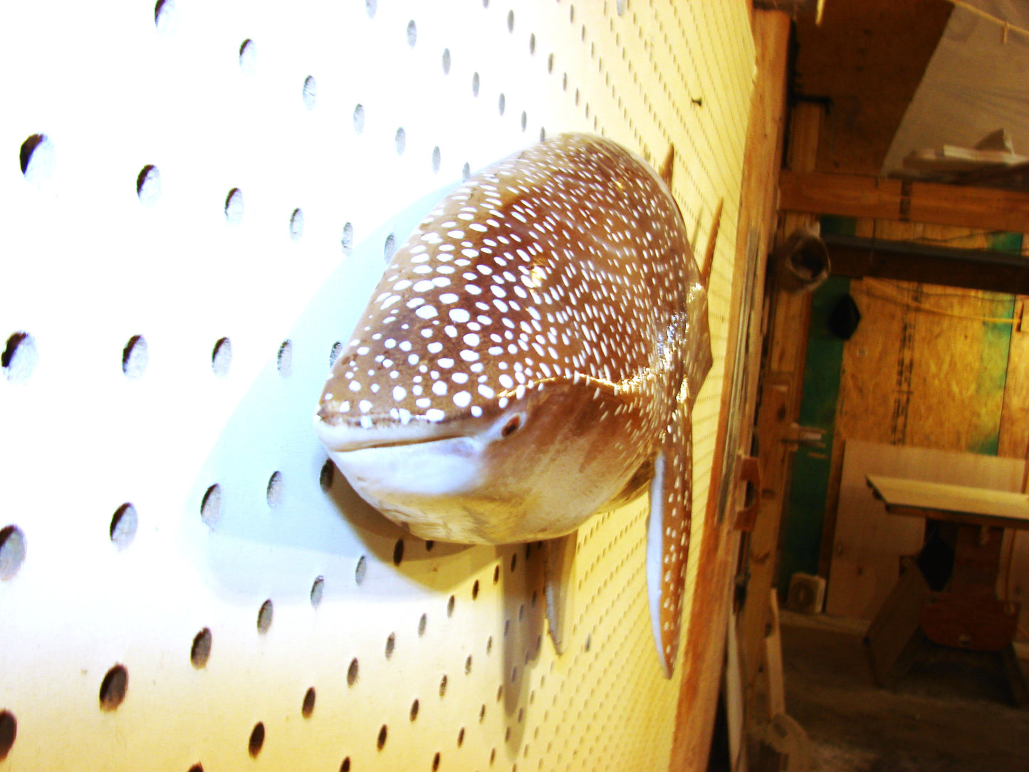 36" Whale Shark FREE SHIPPING