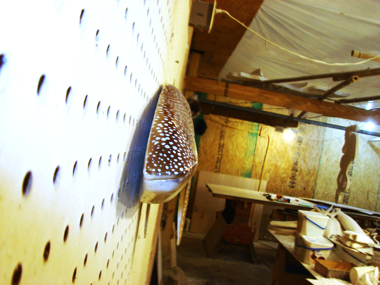 36" Whale Shark FREE SHIPPING