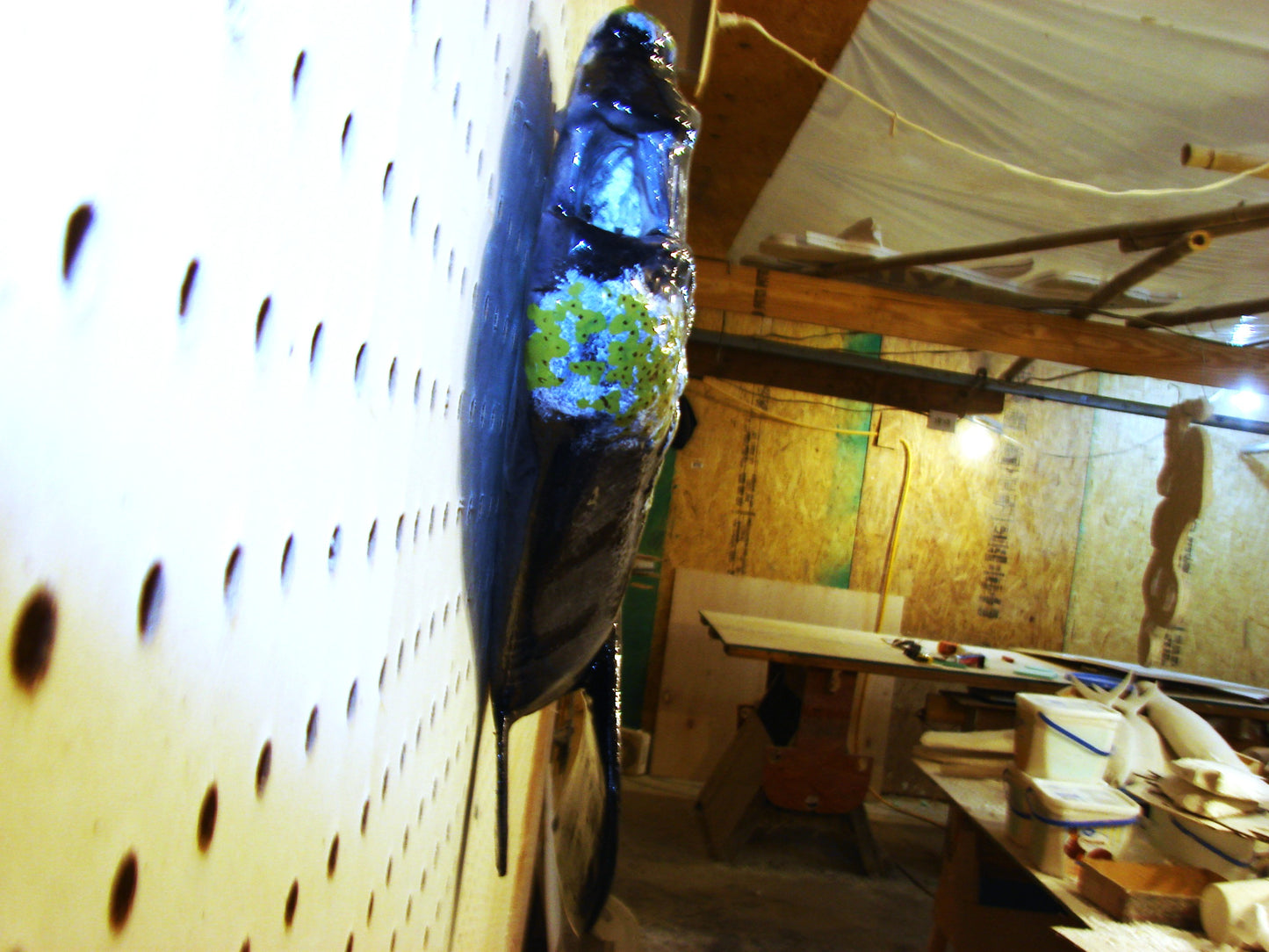 30" Right Whale FREE SHIPPING