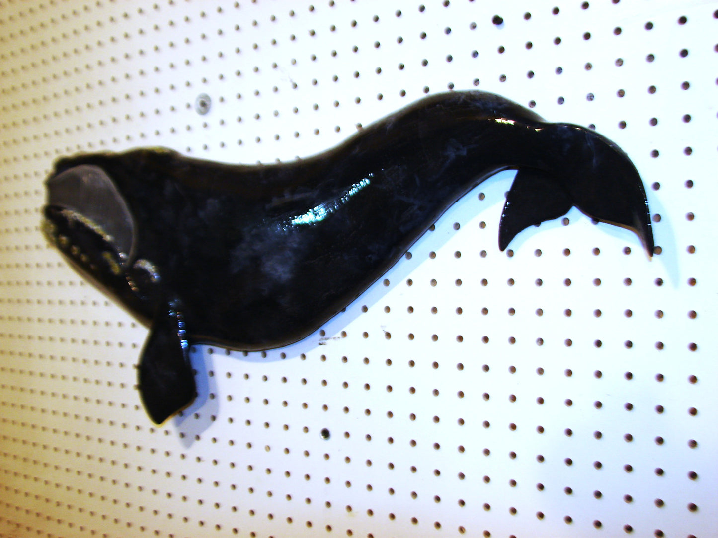 30" Right Whale FREE SHIPPING