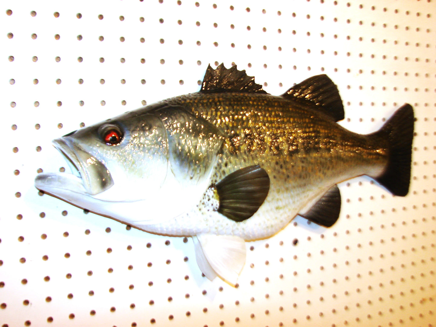 23" Largemouth Bass FREE SHIPPING