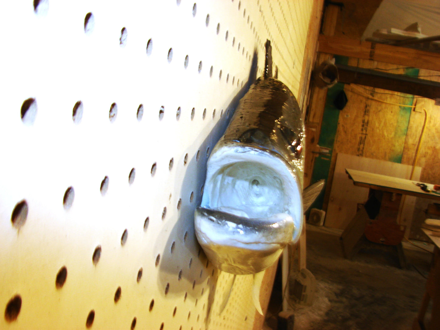 23" Largemouth Bass FREE SHIPPING