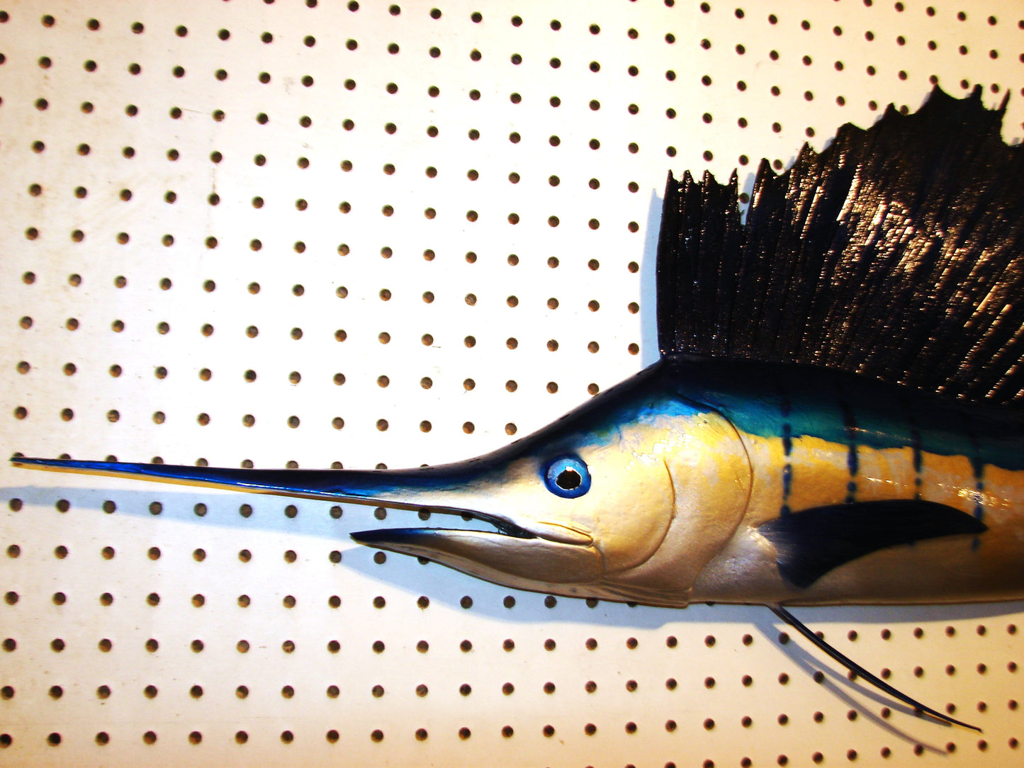 42" Sailfish FREE SHIPPING
