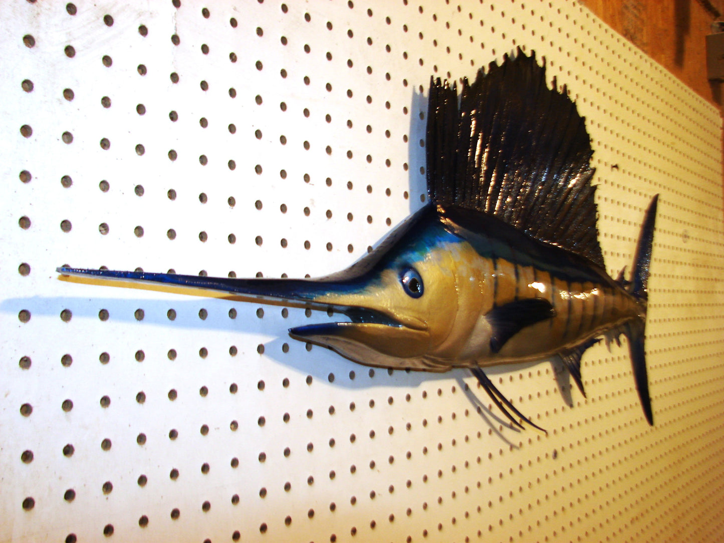 42" Sailfish FREE SHIPPING