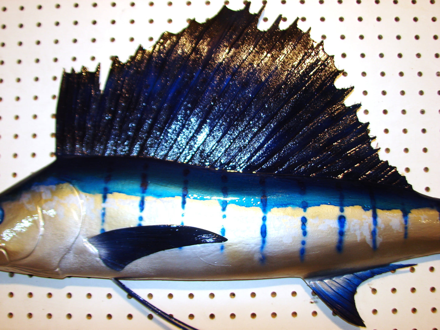 42" Sailfish FREE SHIPPING