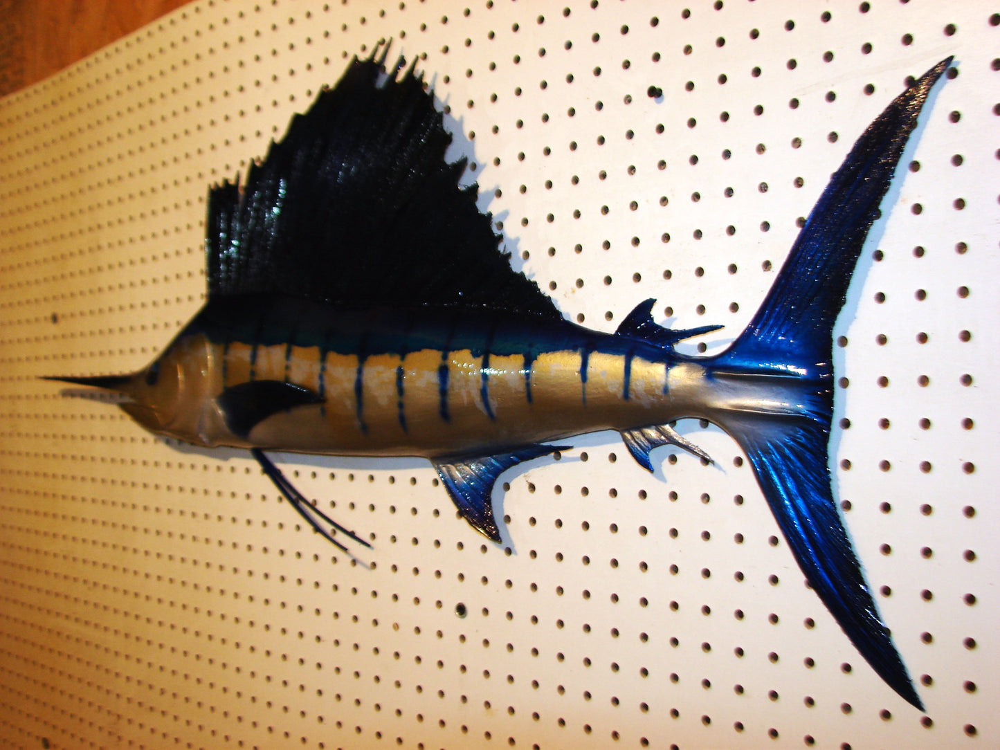 42" Sailfish FREE SHIPPING
