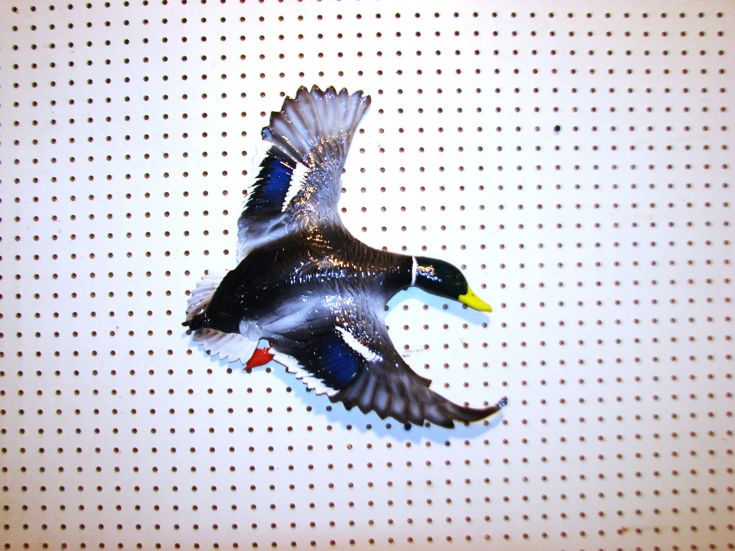 Flying Mallard Drake Wall Mount FREE SHIPPING