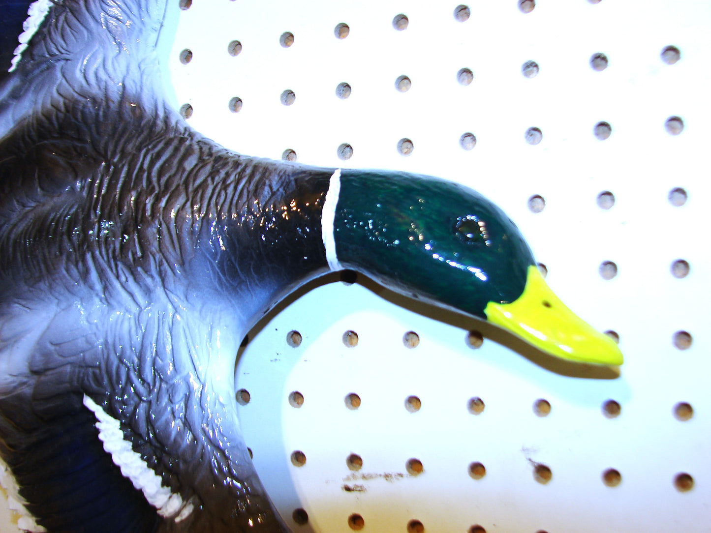 Flying Mallard Drake Wall Mount FREE SHIPPING