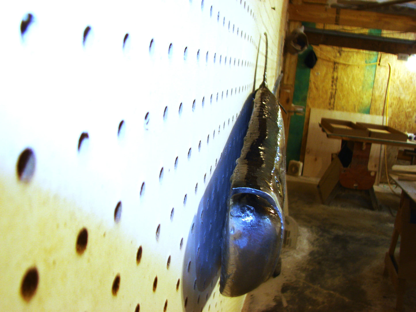 36" Tarpon Free shipping