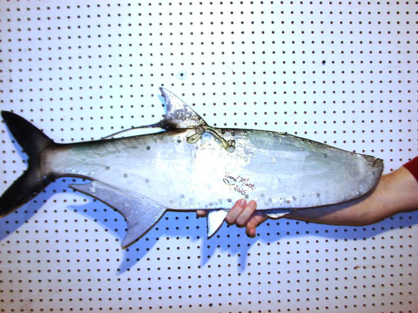 36" Tarpon Free shipping