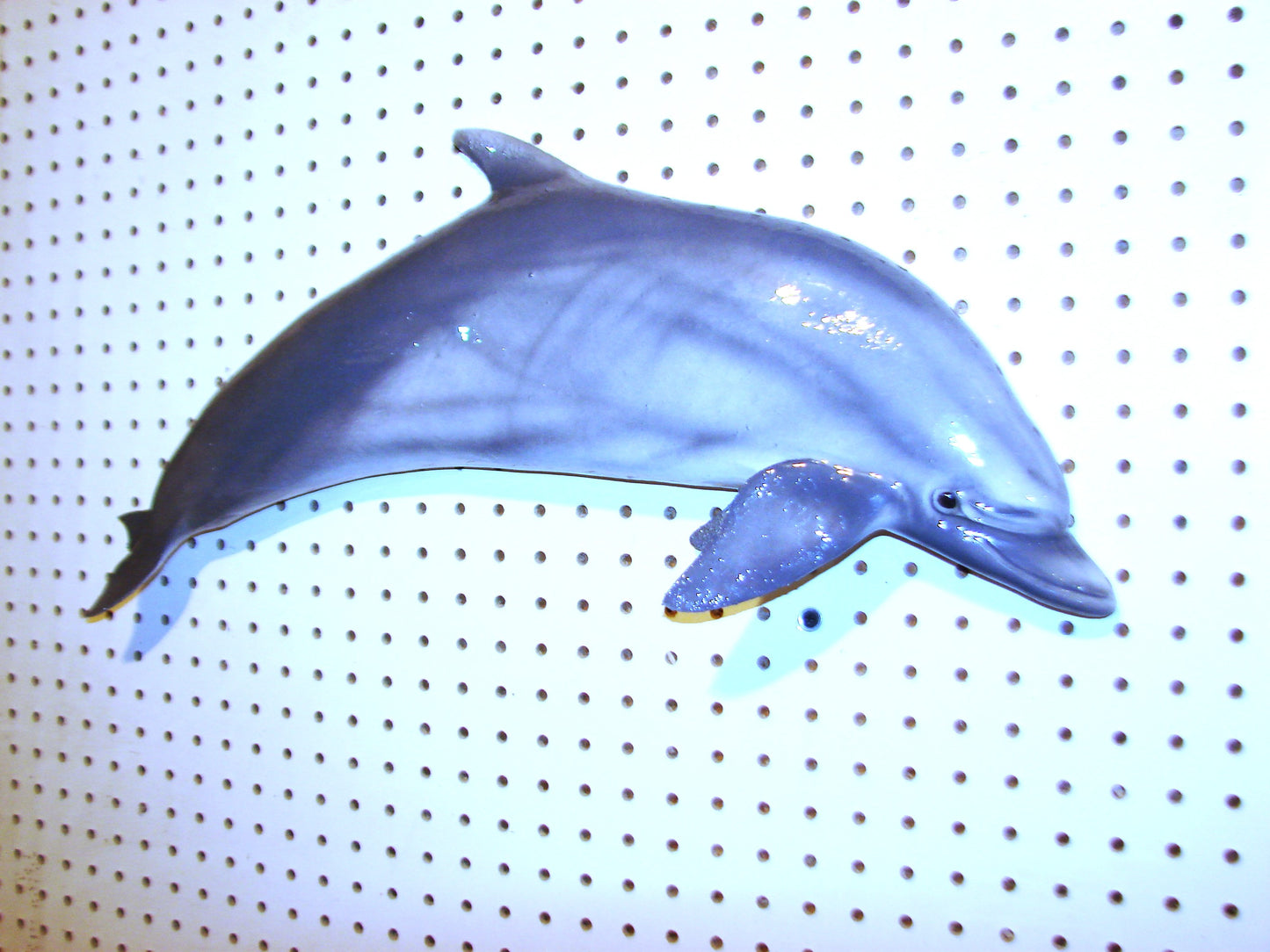 24" Dolphin FREE SHIPPING