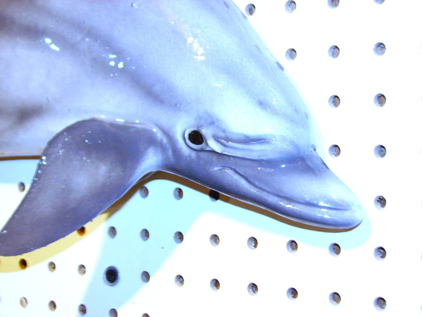 24" Dolphin FREE SHIPPING
