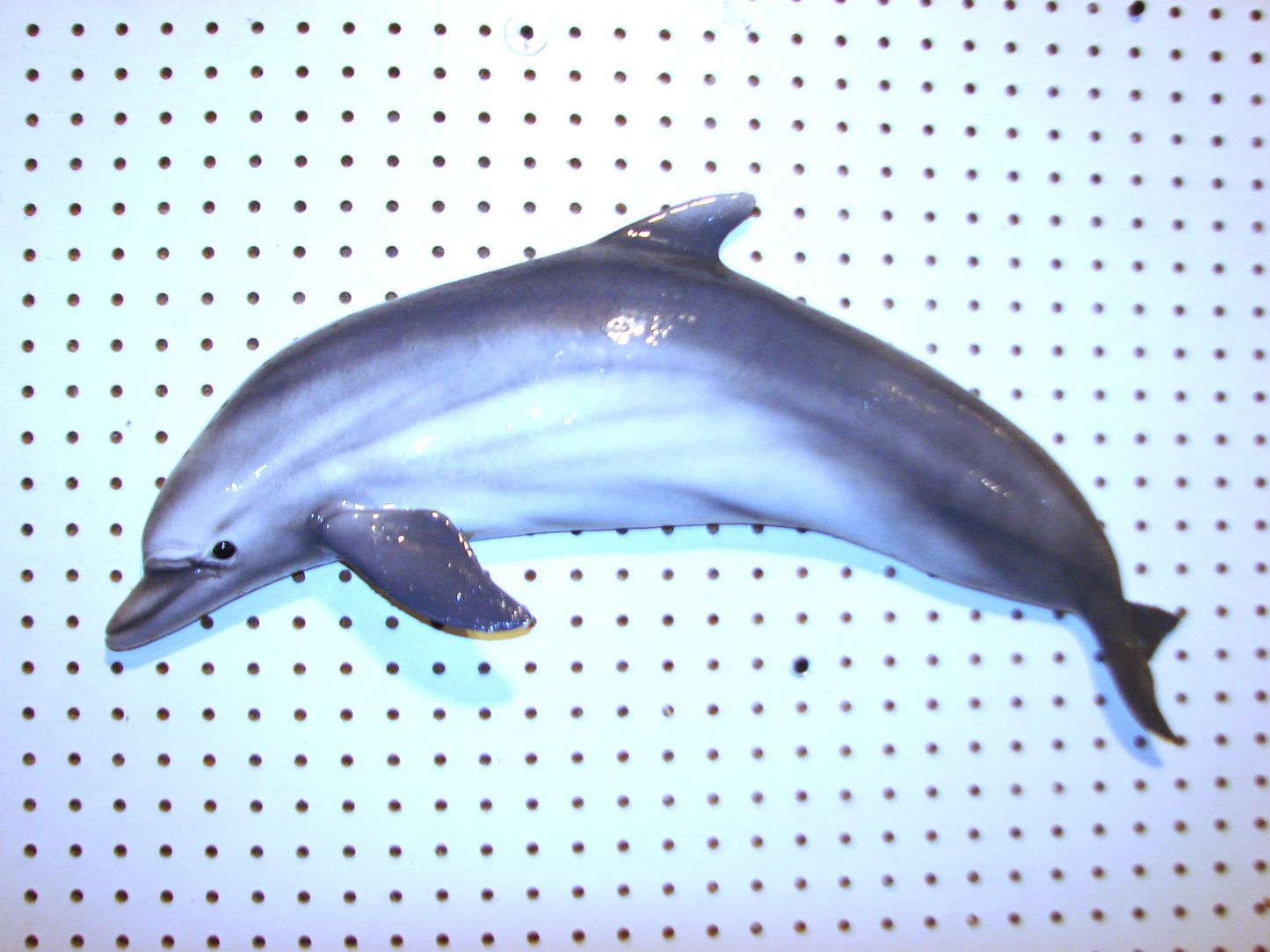 24" Dolphin FREE SHIPPING