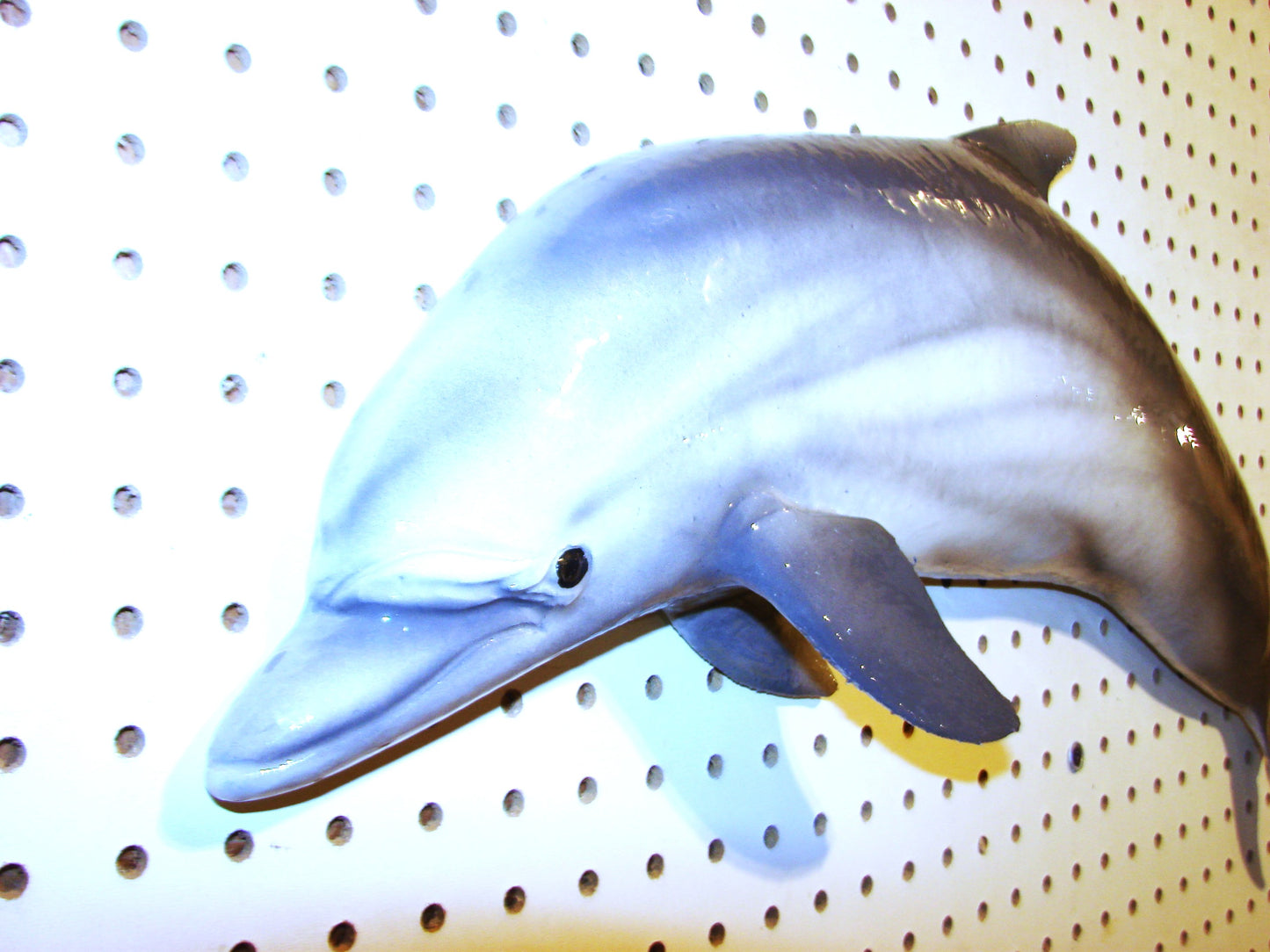 24" Dolphin FREE SHIPPING